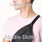 fanny pack